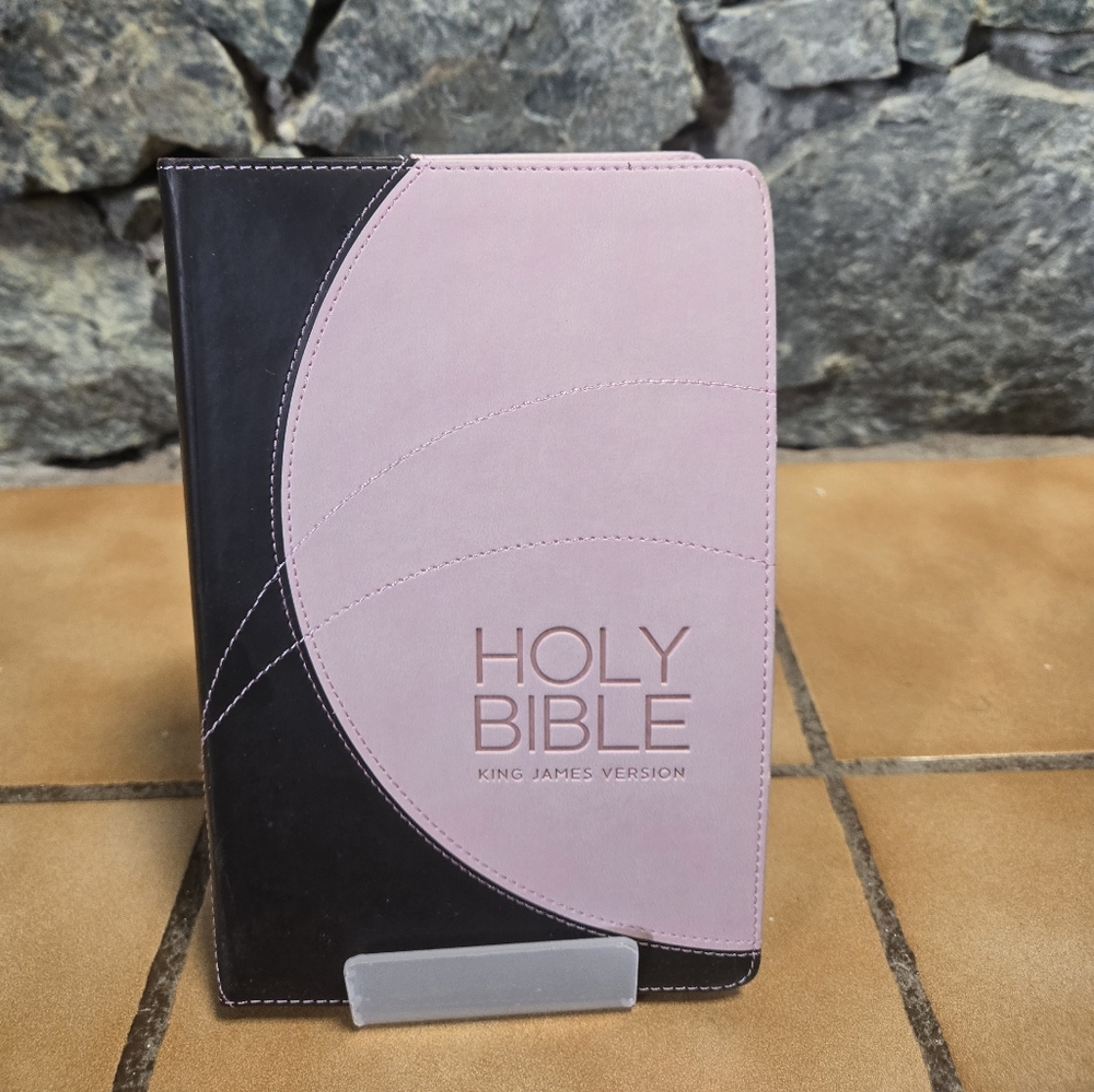 Faux Leather Pink + Brown Bible KJV